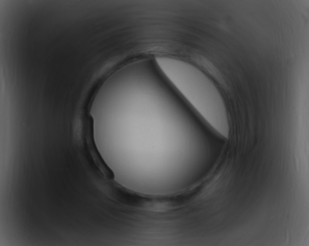 X0000096990444200802080922
