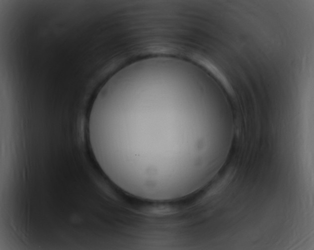 X0000096990445200802080922