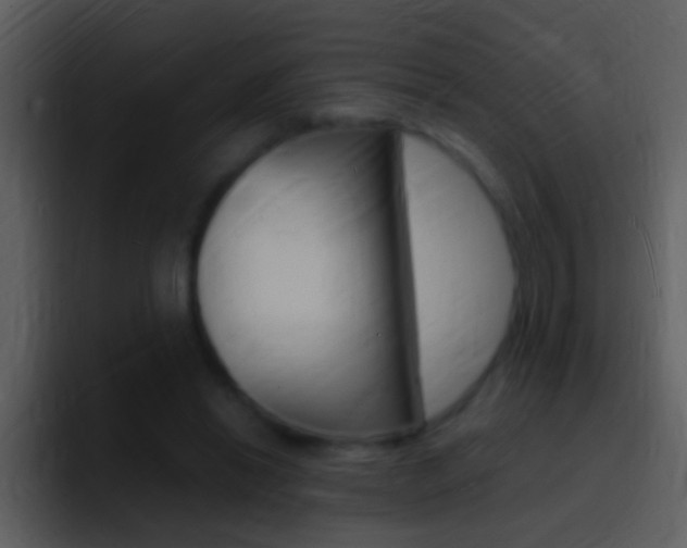 X0000096990446200802080922