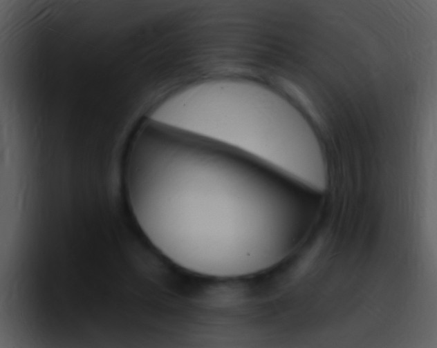 X0000096990447200802080922