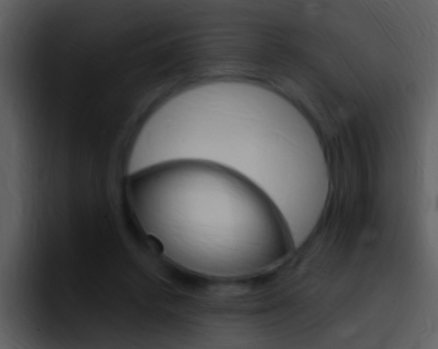 X0000096990448200802080923