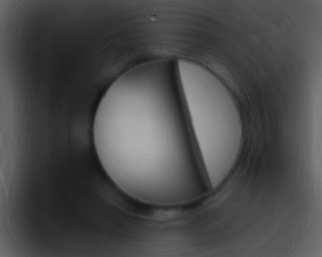 X0000096990450200802080923