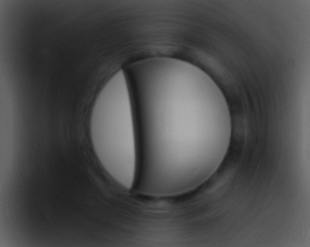 X0000096990451200802080923