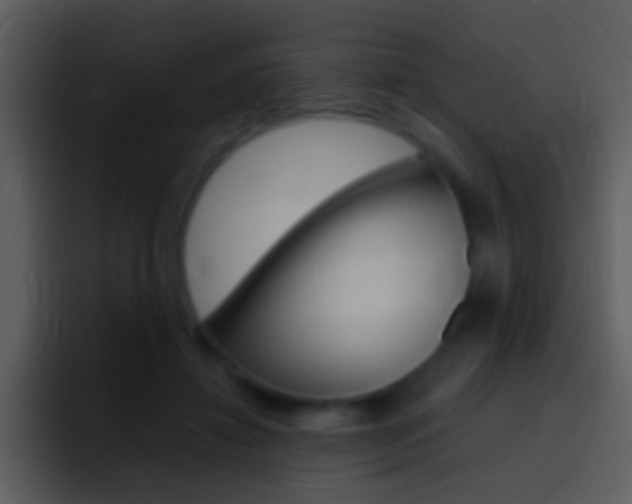 X0000096990452200802080923