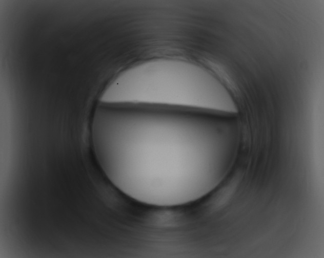 X0000096990453200802080923