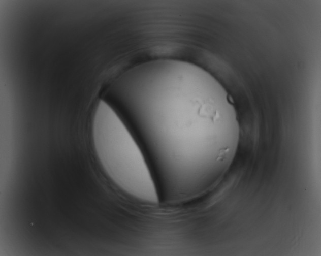 X0000096990454200802080923