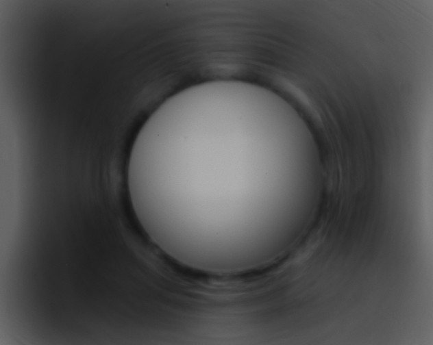 X0000096990455200802080923