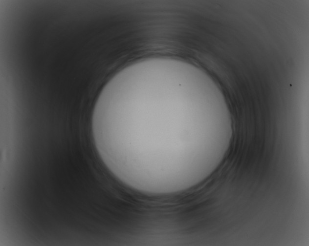 X0000096990456200802080923