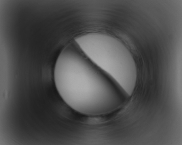 X0000096990457200802080923