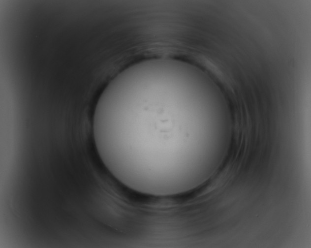 X0000096990459200802080923