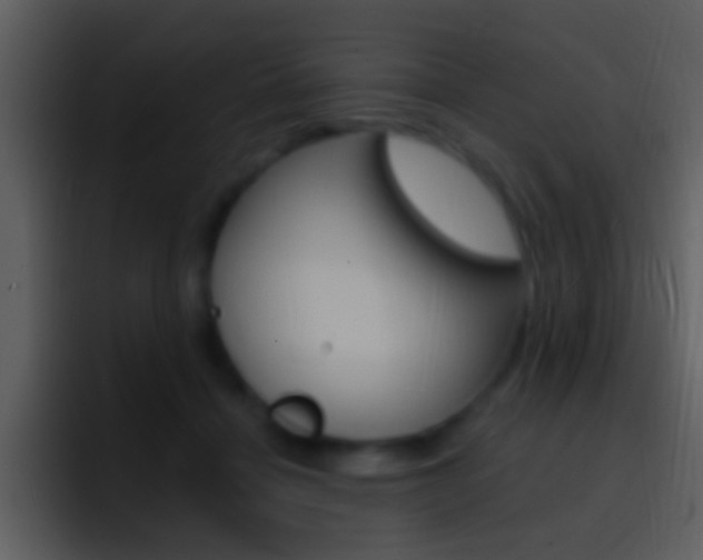 X0000096990460200802080923