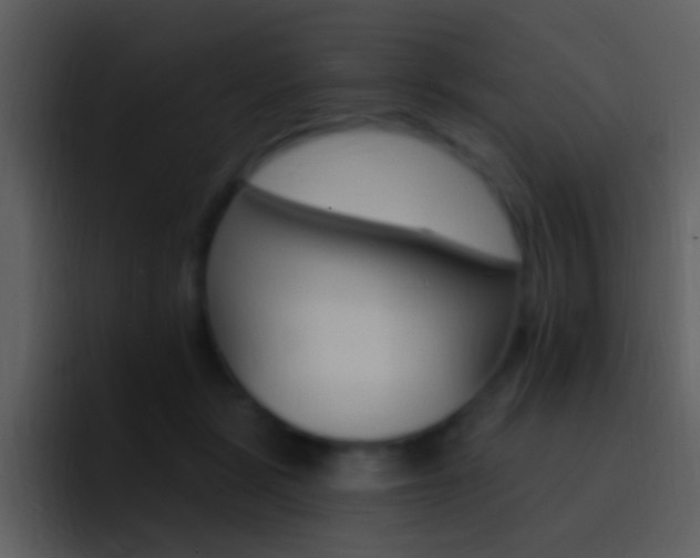 X0000096990461200802080923