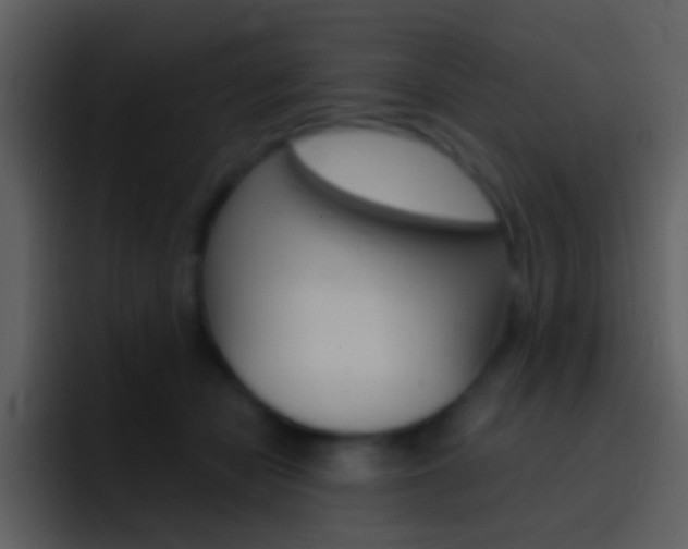 X0000096990462200802080923