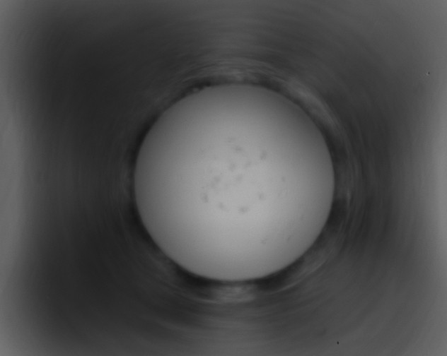 X0000096990465200802080923