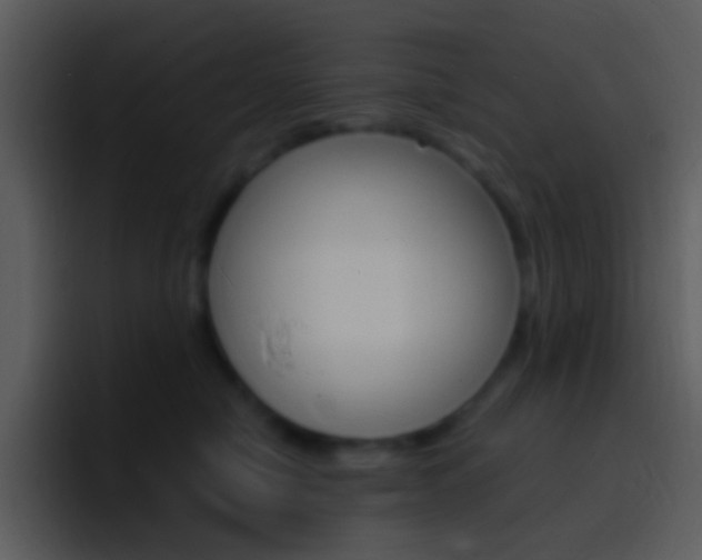 X0000096990470200802080923