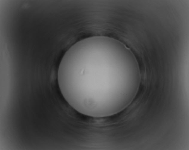 X0000096990472200802080923