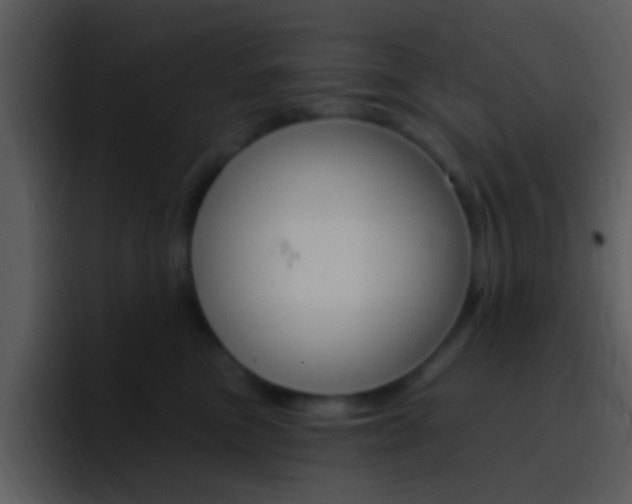 X0000096990473200802080923