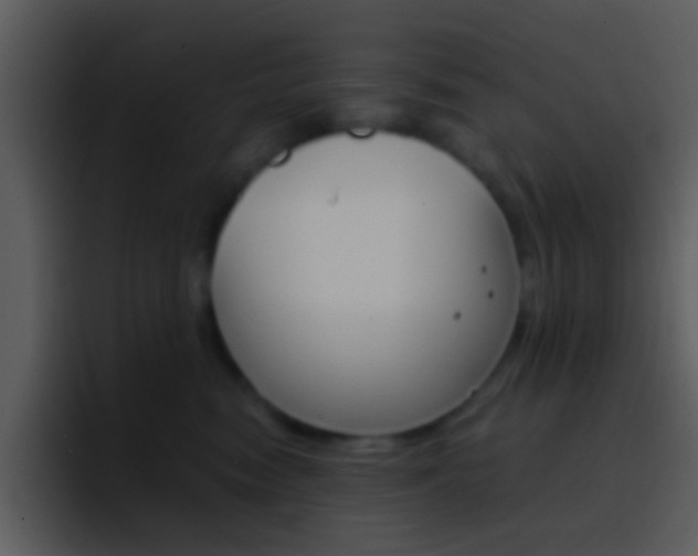 X0000096990474200802080923