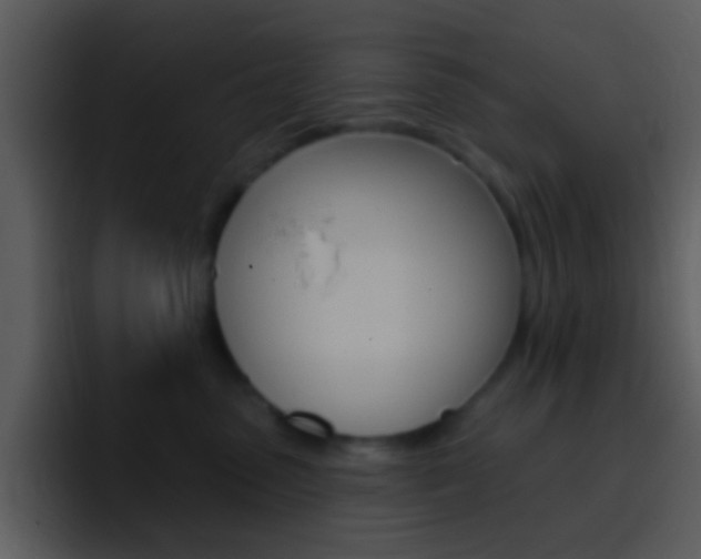 X0000096990475200802080923