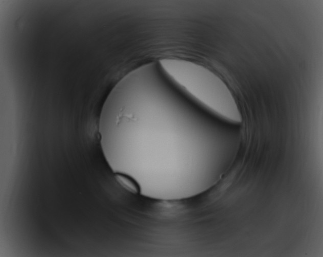 X0000096990477200802080923