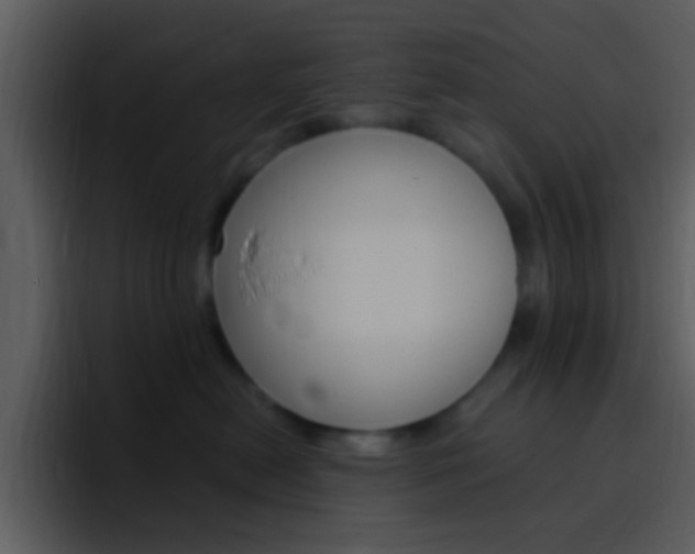 X0000096990478200802080923
