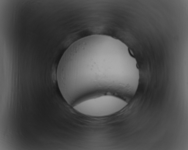 X0000096990479200802080923