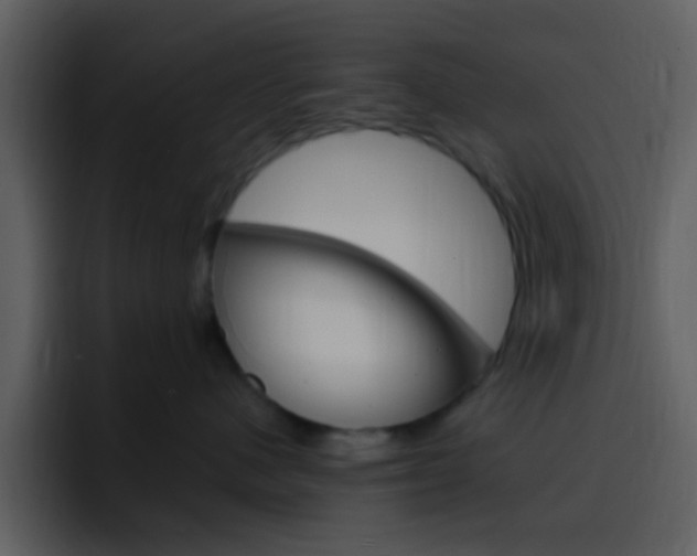X0000096990480200802080923