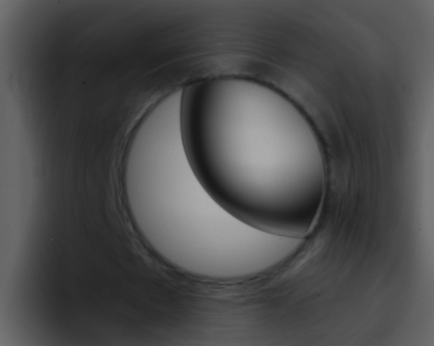X0000096990481200802080922