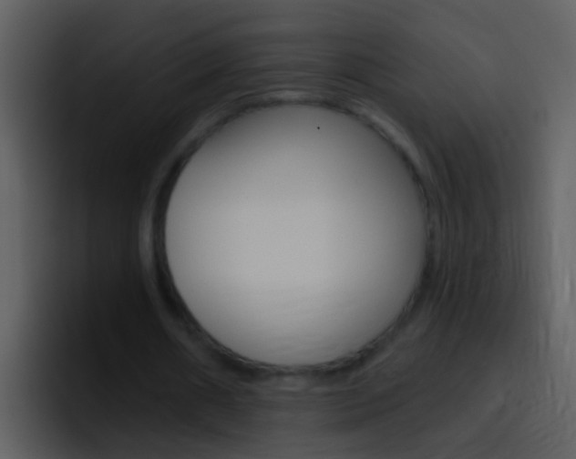 X0000096990482200802080922