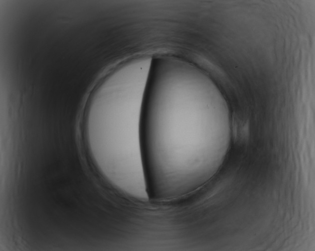 X0000096990483200802080922