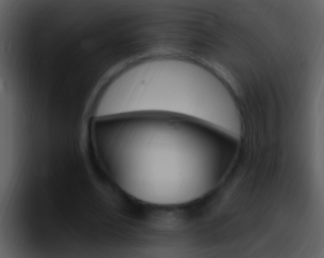 X0000096990488200802080922