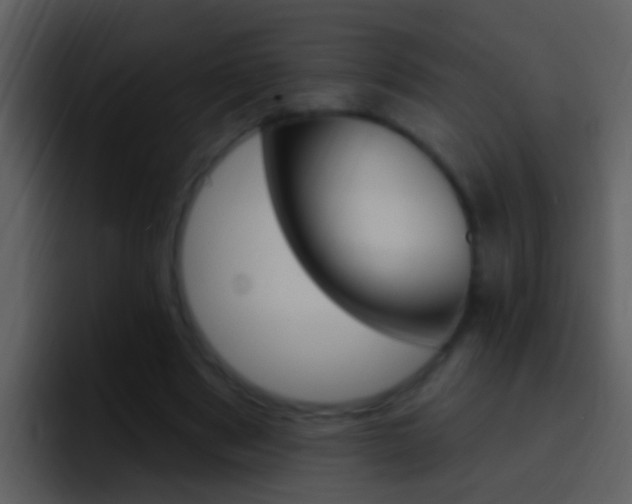 X0000096990489200802080922