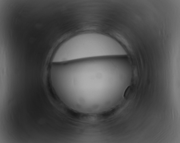 X0000096990492200802080922