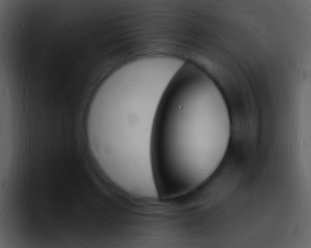 X0000096990493200802080922