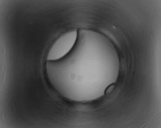 X0000096990494200802080922