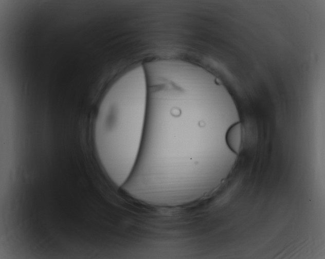 X0000096990495200802080922