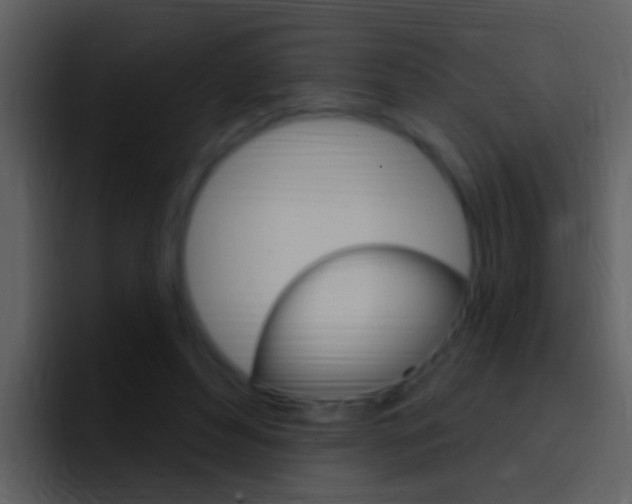 X0000096990496200802080922