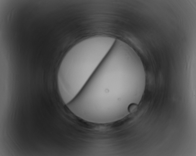 X0000096990499200802080922