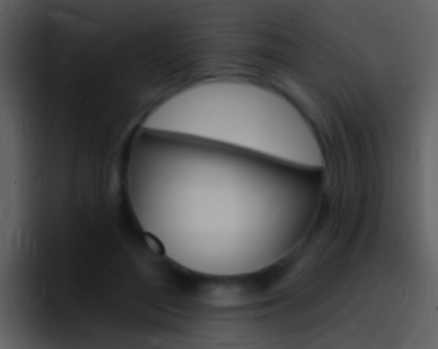 X0000096990500200802080922