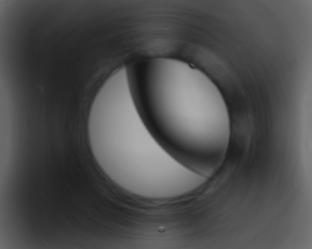 X0000096990501200802080922