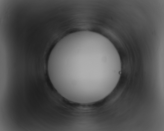 X0000096990502200802080922