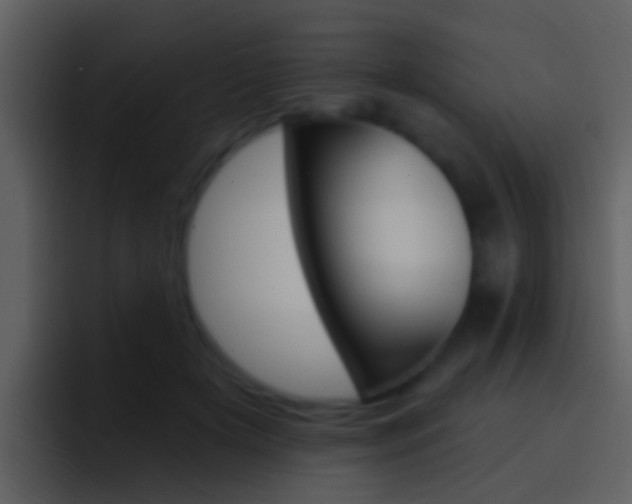 X0000096990505200802080922