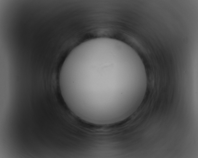 X0000096990506200802080922