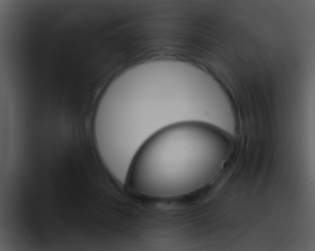 X0000096990508200802080922