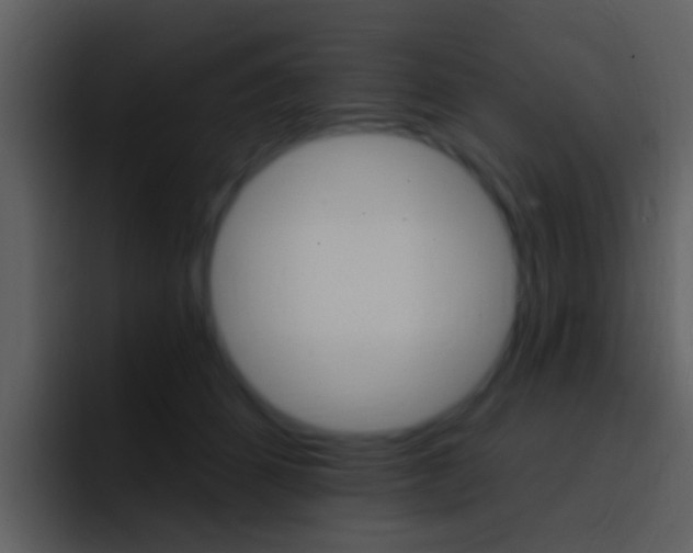 X0000096990512200802080922