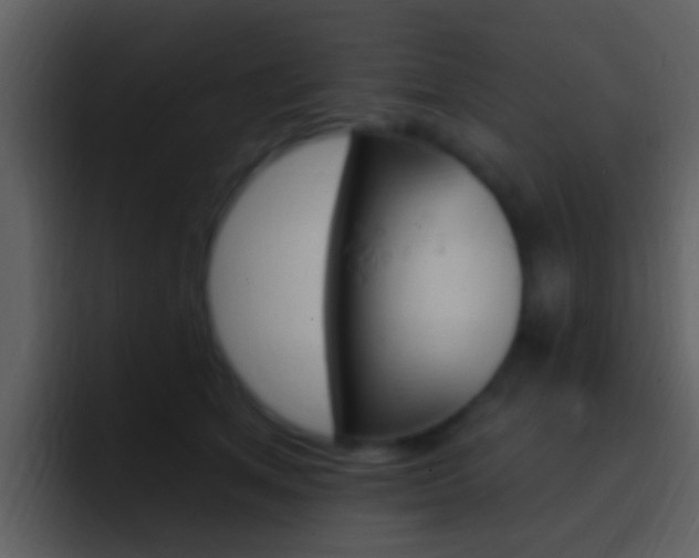 X0000096990513200802080922