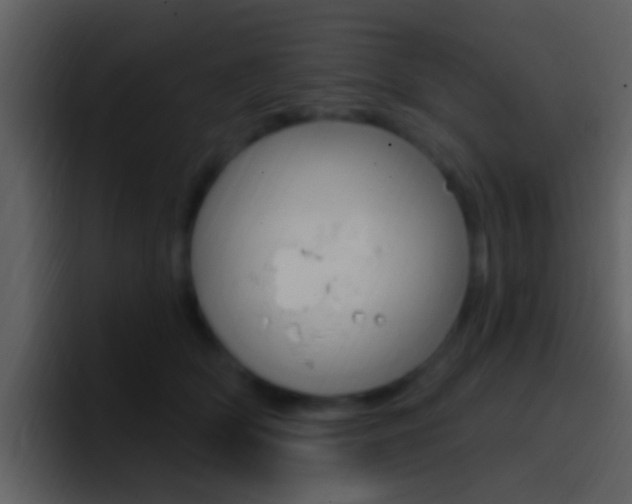 X0000096990514200802080922