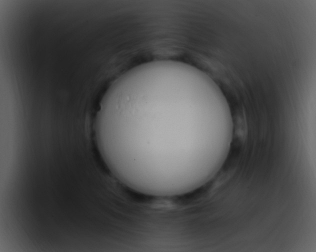 X0000096990519200802080922