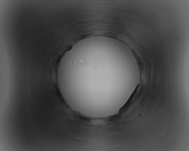 X0000096990520200802080922