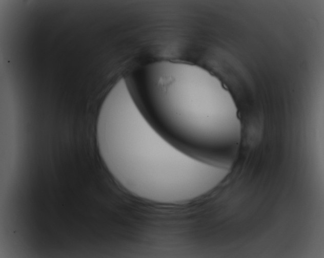 X0000096990521200802080922